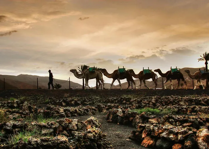 Home2book Bright Sea View Appartement