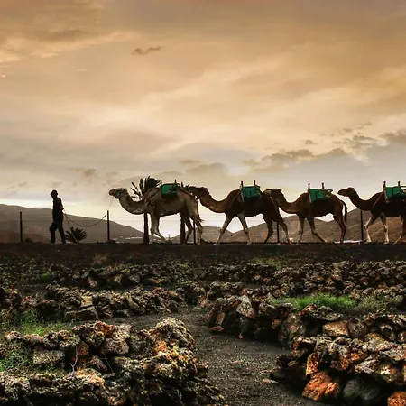 Home2book Bright Sea View Apartament